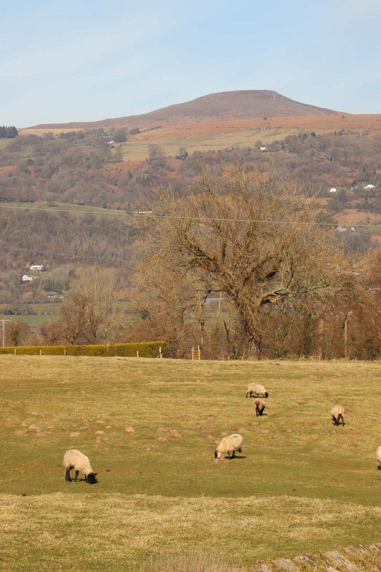 Cowshed In The Black Mountains Abergavenny Extérieur photo